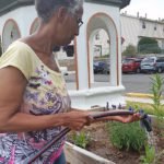 Elderly woman watering her plants