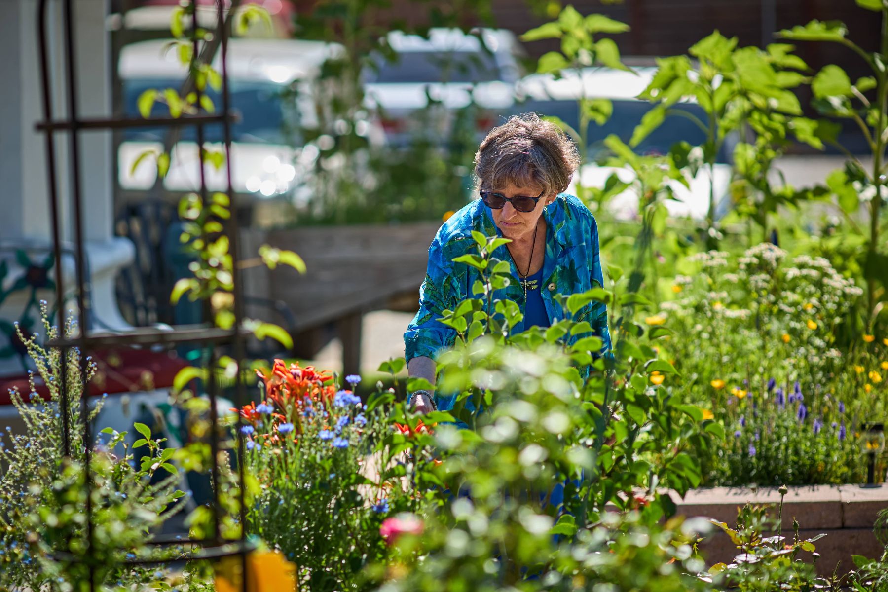 Dayspring Villa Assisted Living Community in Denver, CO - woman in garden landscape