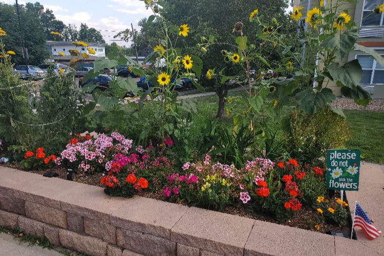 Dayspring Villa Assisted Living Community in Denver, CO - dayspring villa garden renovation